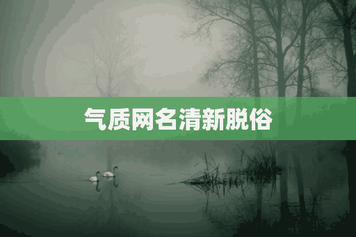 气质网名清新脱俗